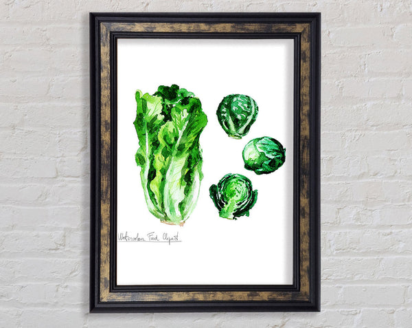 Cabbage Framed Print