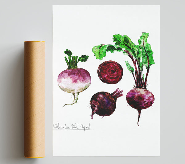 Beetroot Giclee Print