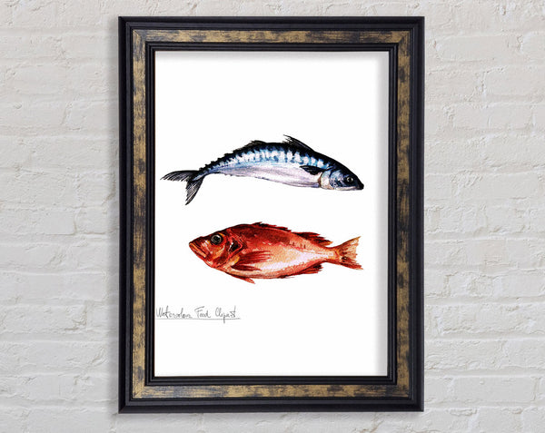 Fish Supper 2