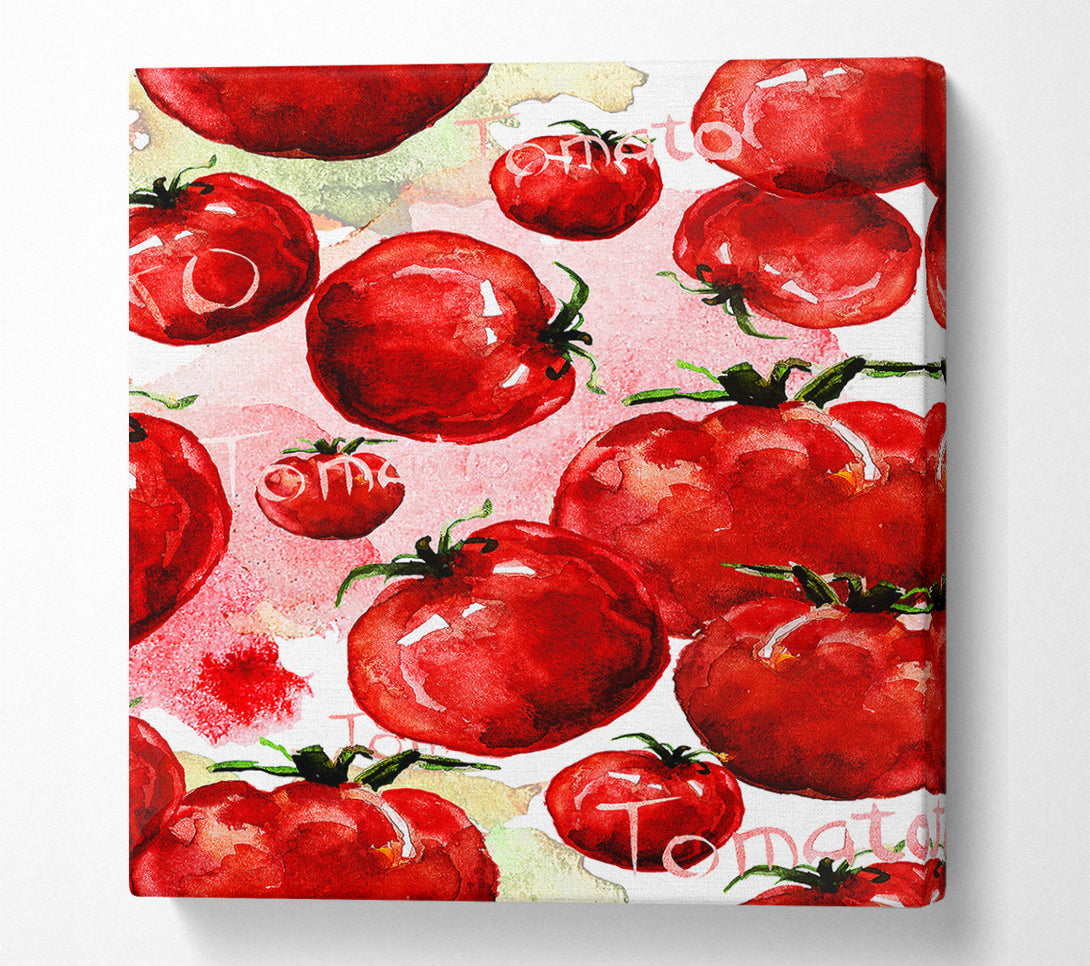  A Canvas Print of Just Tomatos Canvas Print