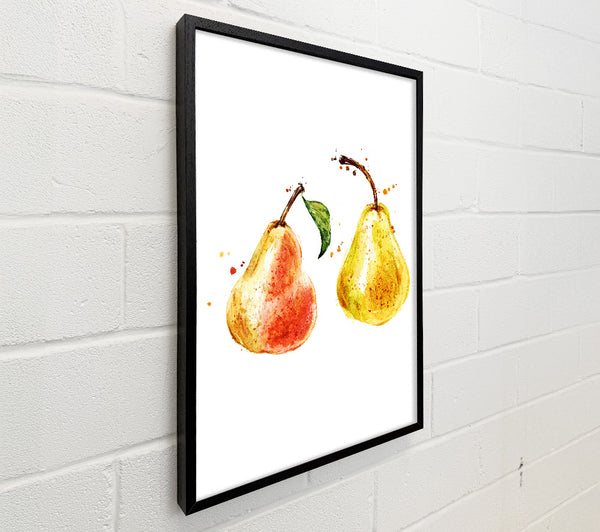 Pear Duo 1