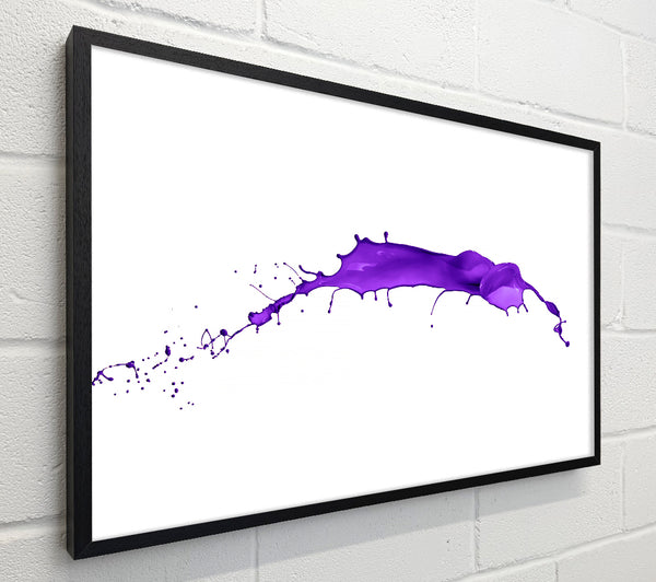 Purple Splash