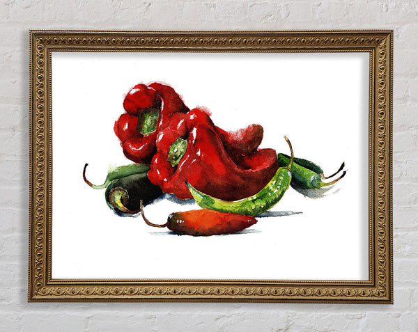Chili-Auswahl