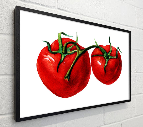 Duo Tomato 2