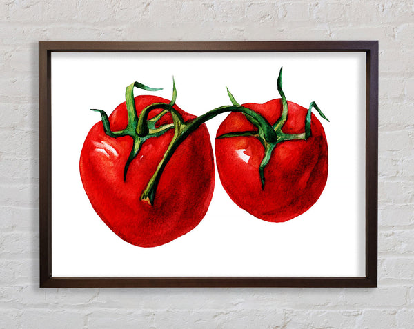 Duo-Tomate 2