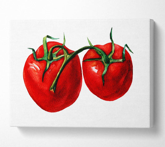 Duo Tomato 2 Canvas Wall Art