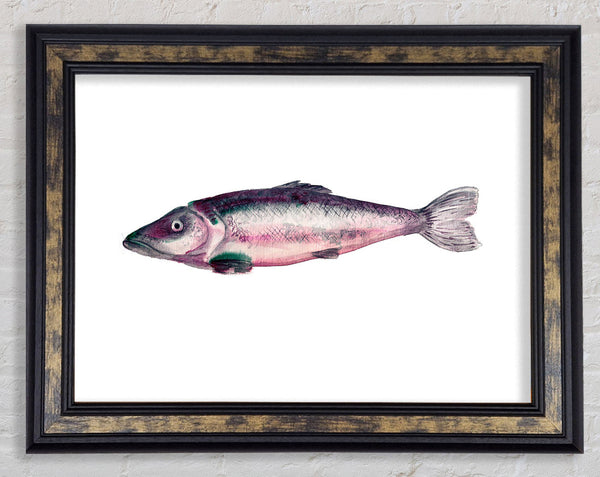 Fish Supper 1