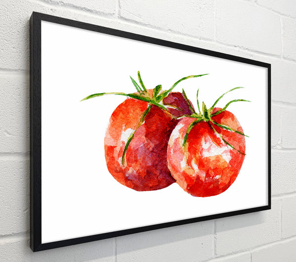 Duo Tomato 1
