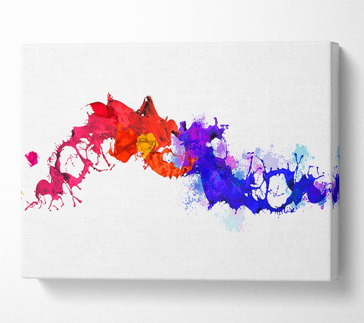 Colours Collide 1 Canvas Wall Art