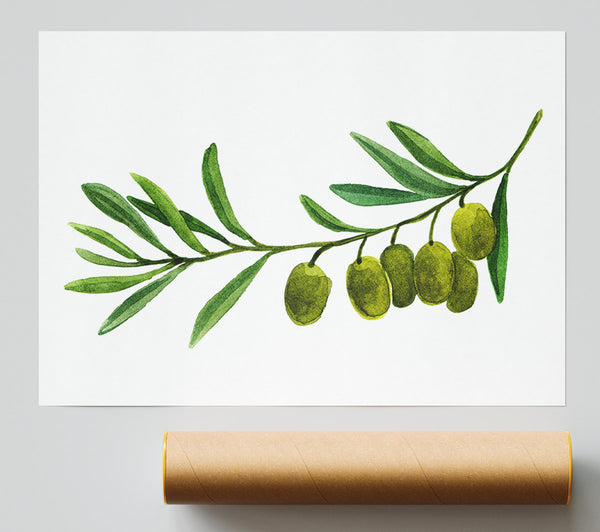 Olive Branch Poster