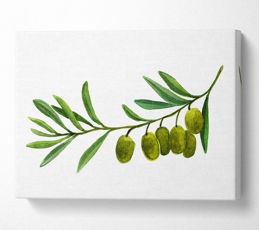 Olive Branch Canvas Wall Art
