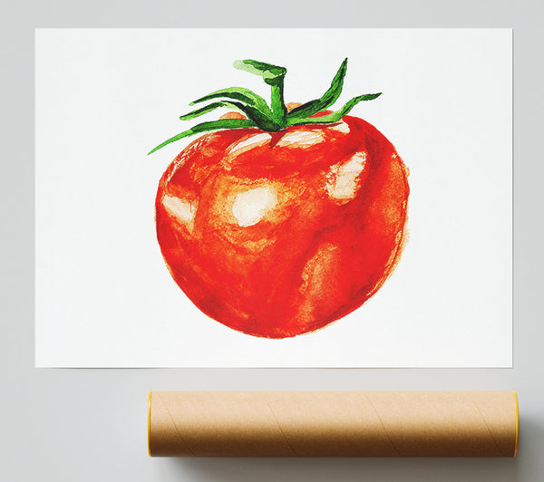 Single Tomato Giclee Print