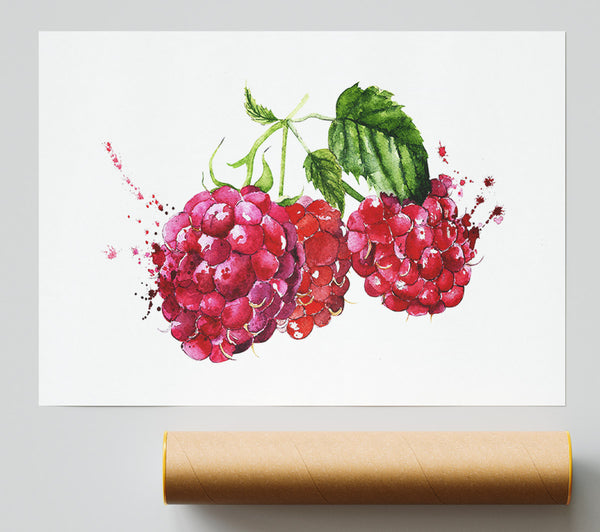 Raspberry Trio Print