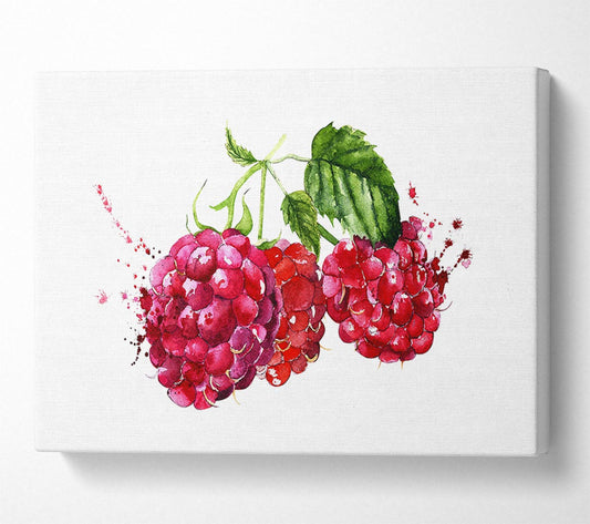 Raspberry Trio Canvas Wall Art