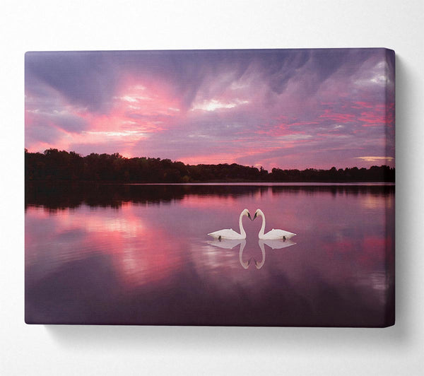  A Canvas Print of Perfect Swan Waters Canvas Print