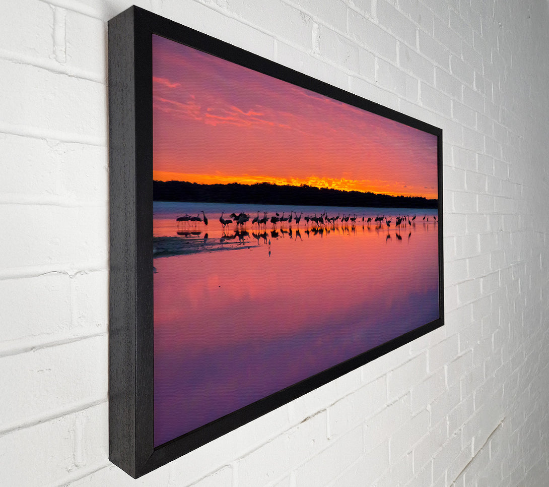  A Canvas Print of Pink Bird Paradise Canvas Wall Art