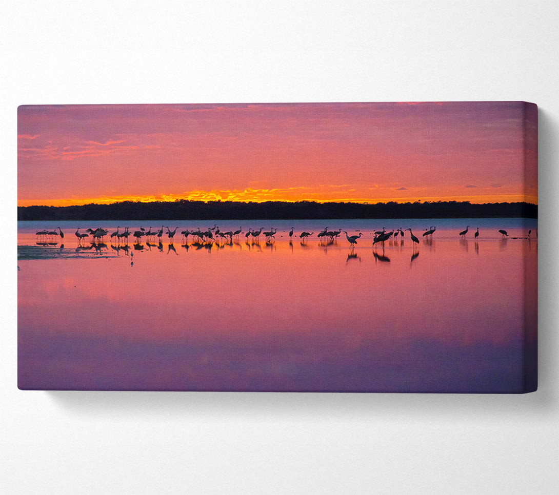  A Canvas Print of Pink Bird Paradise Canvas Wall Art