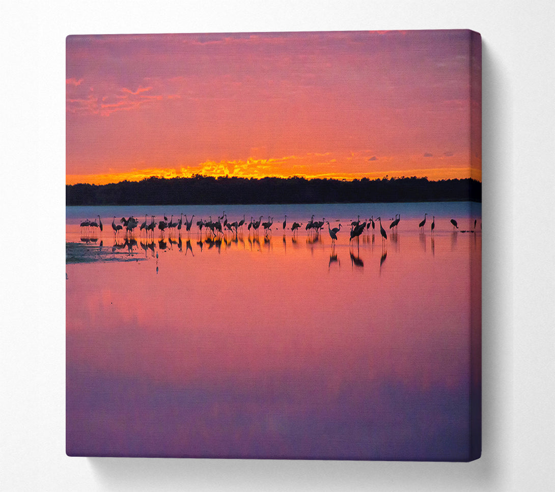  A Canvas Print of Pink Bird Paradise Canvas Wall Art