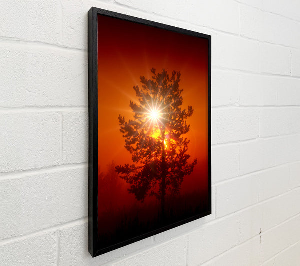 Orange Skies