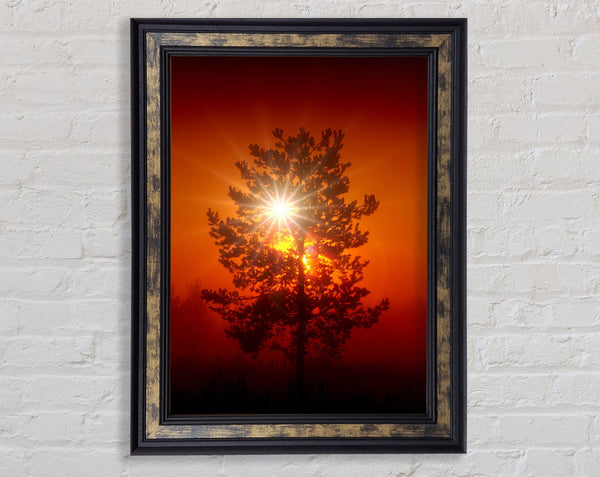 Orange Skies Framed Print