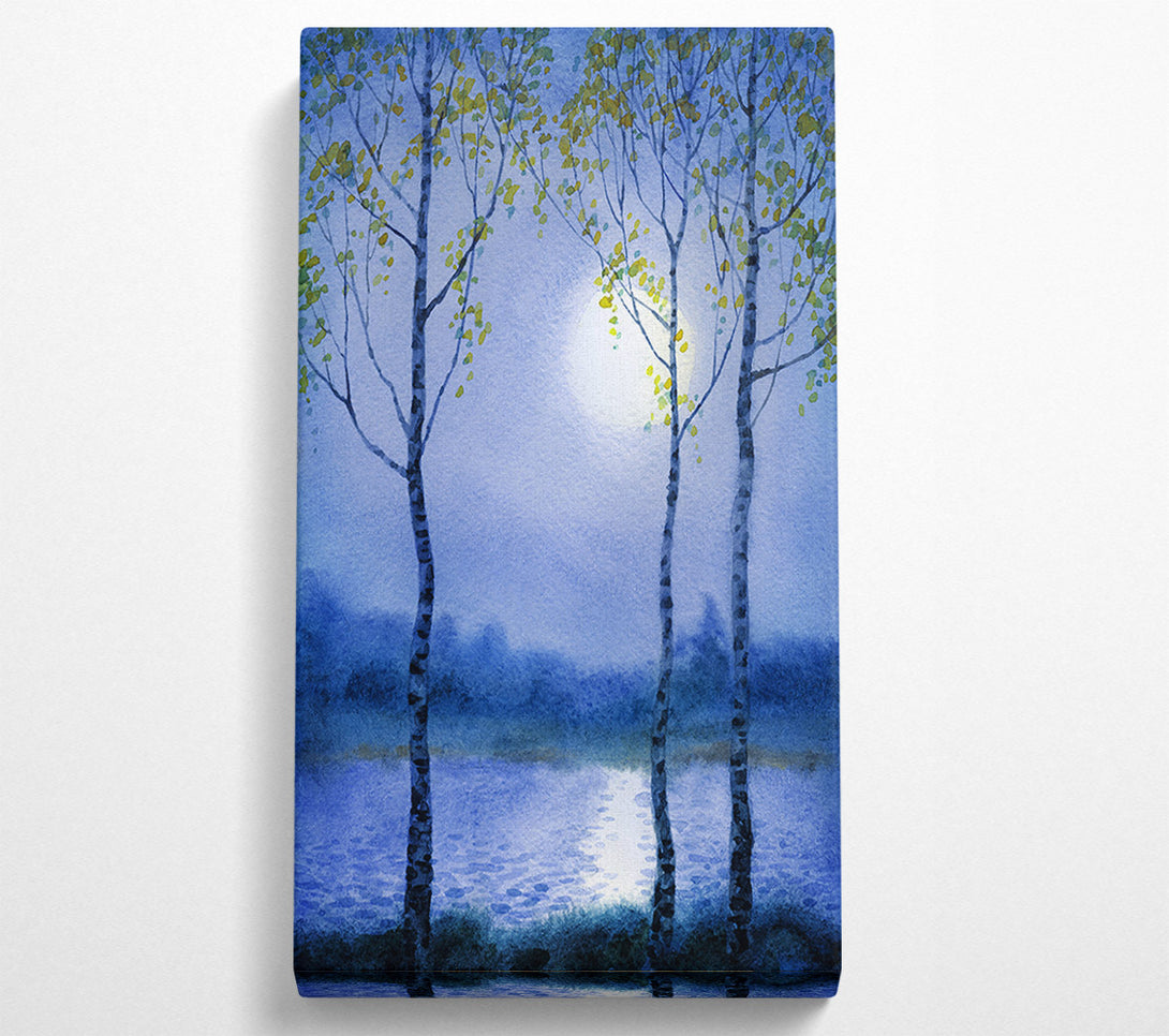  A Canvas Print of Winter moon Canvas Print
