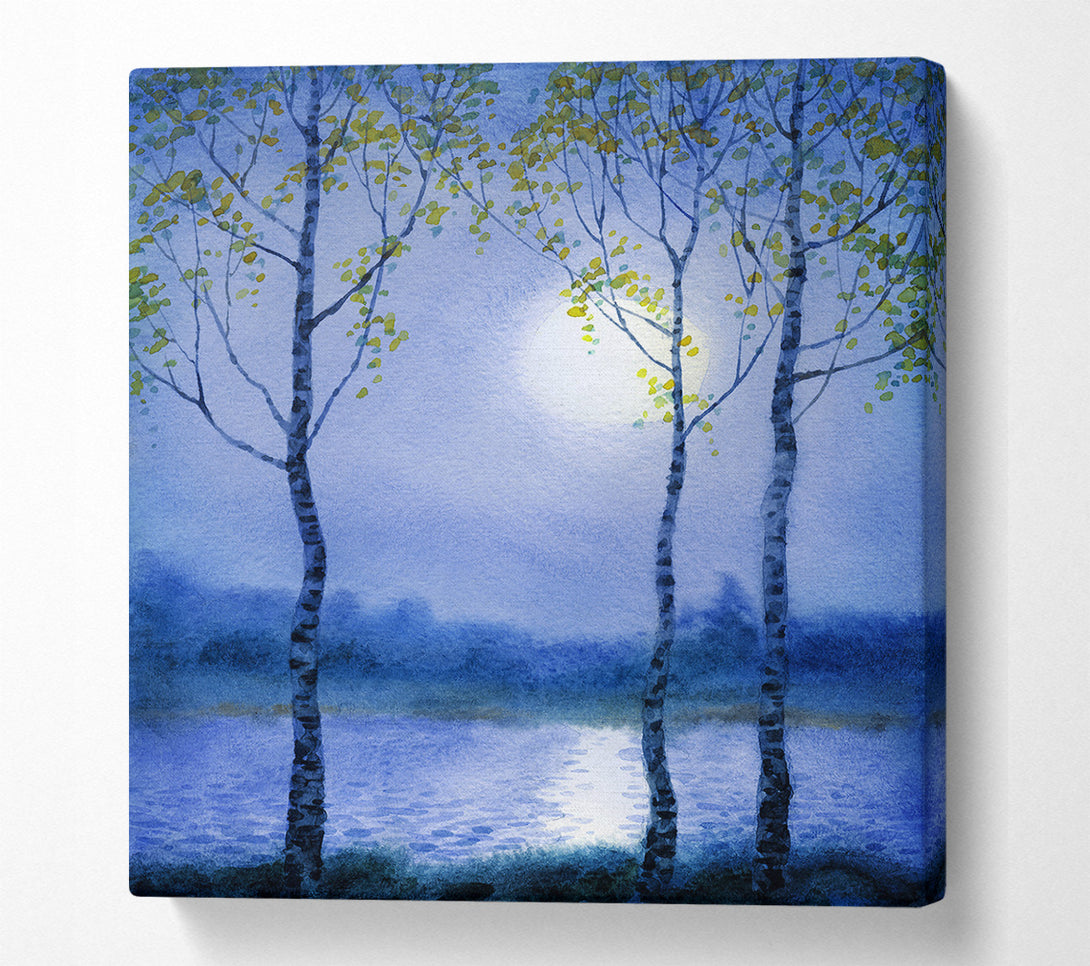  A Canvas Print of Winter moon Canvas Print
