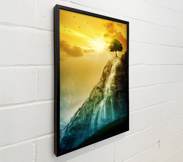 Waterfall Tree