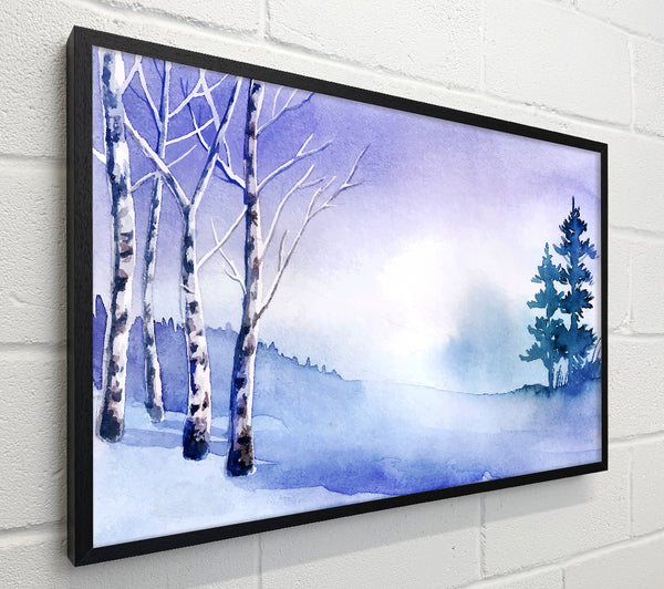 Purple Silver Birch Winter