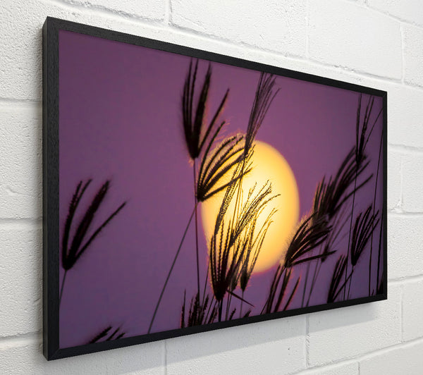 Yellow Sun In The Purple Sky
