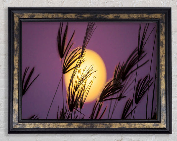 Yellow Sun In The Purple Sky Framed Print