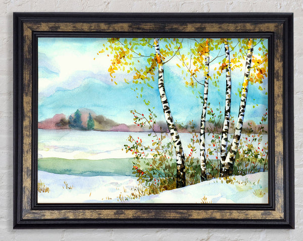 Silver Birch Winter Framed Print