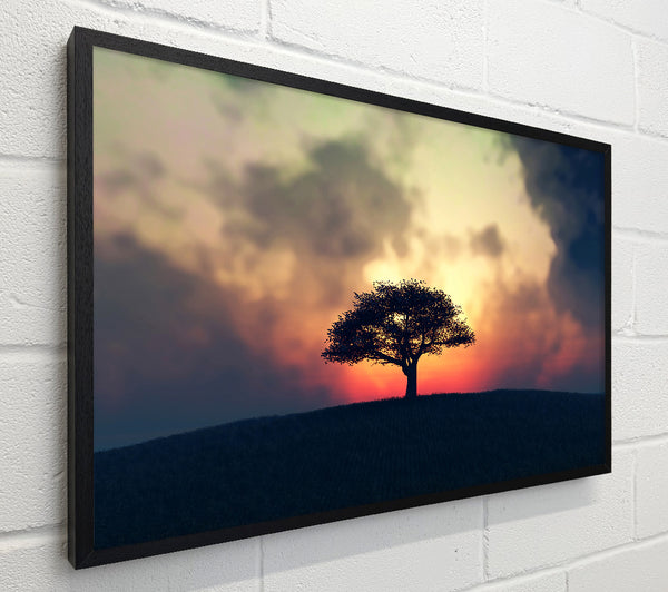Sunset Tree