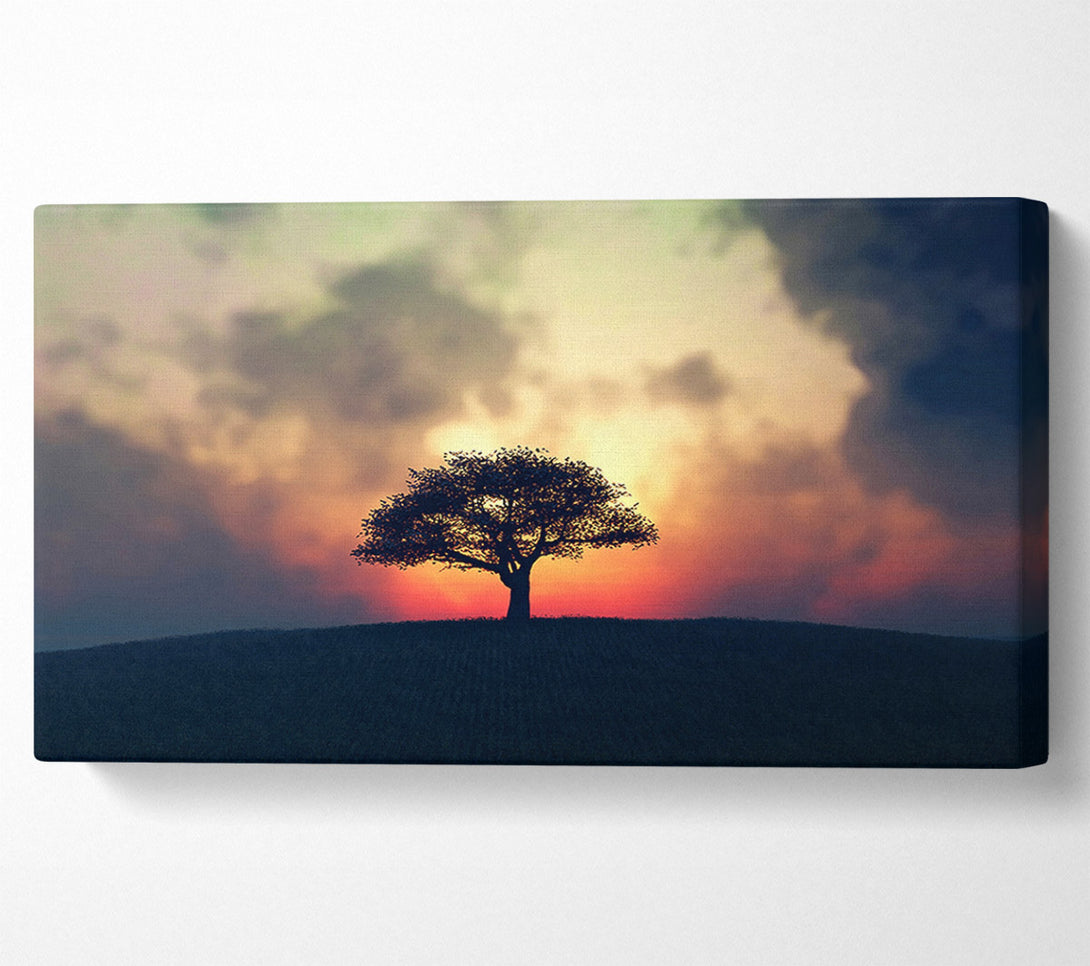  A Canvas Print of Sunset Tree Canvas Art