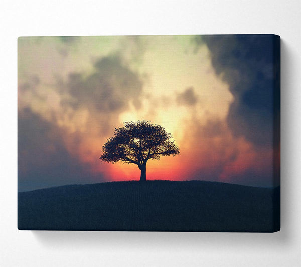  A Canvas Print of Sunset Tree Canvas Art