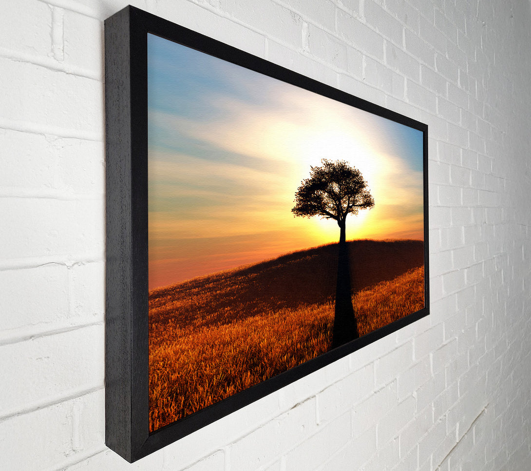  A Canvas Print of Sun Behind The Old Oak Tree Canvas Art