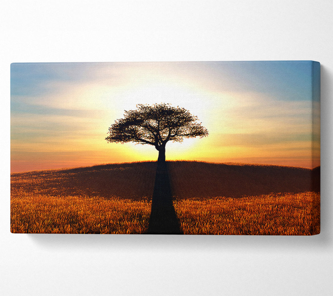 A Canvas Print of Sun Behind The Old Oak Tree Canvas Art