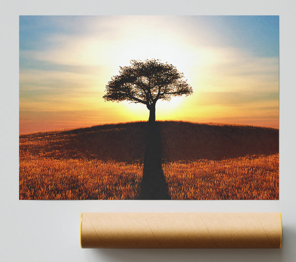 Sun Behind The Old Oak Tree Poster