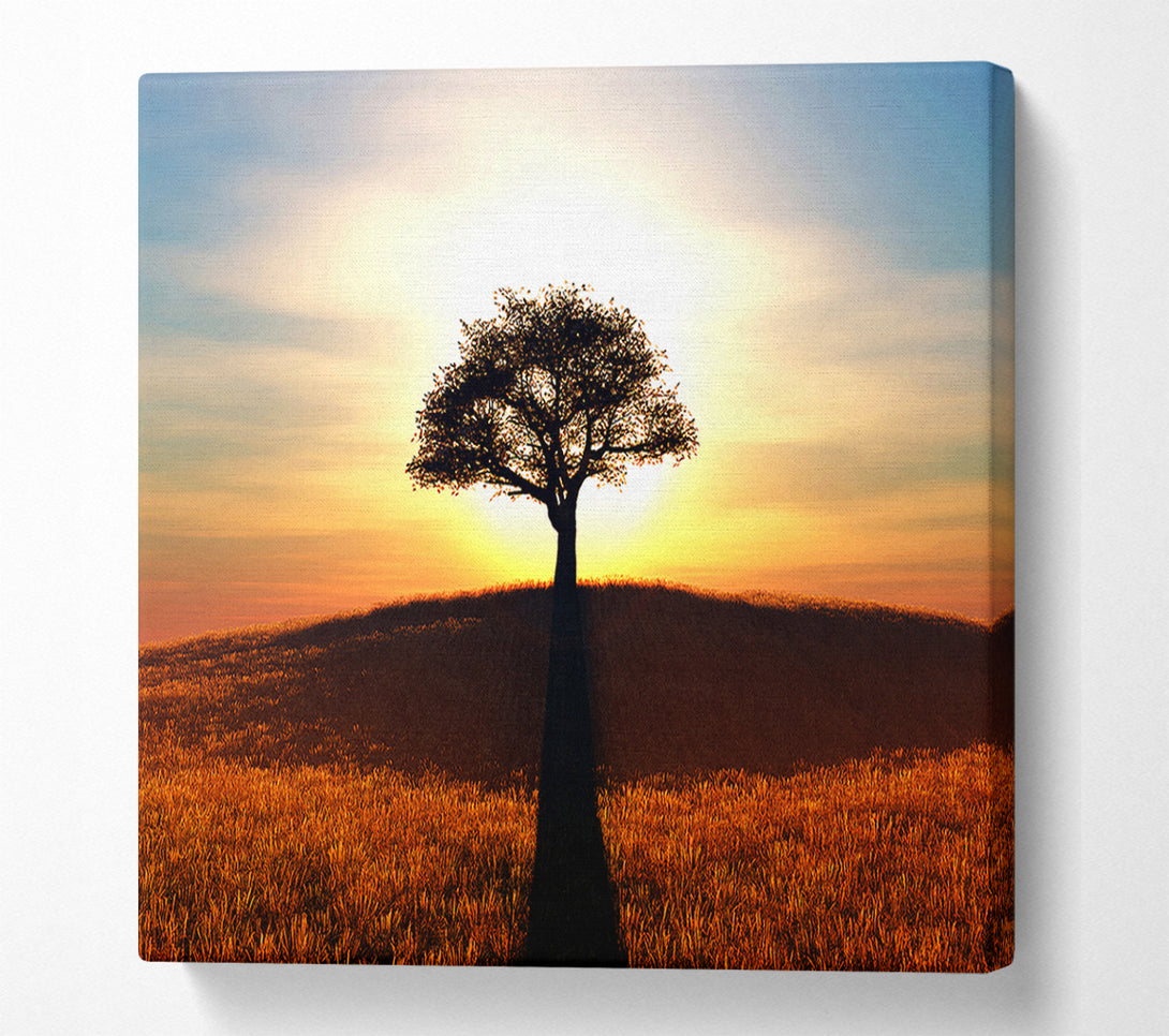  A Canvas Print of Sun Behind The Old Oak Tree Canvas Art