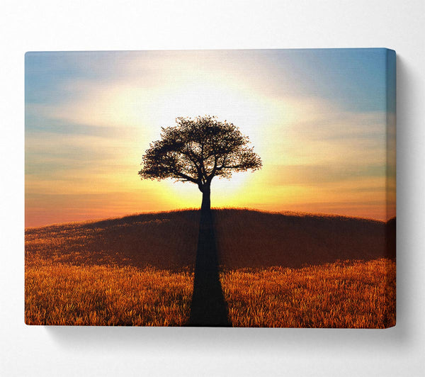  A Canvas Print of Sun Behind The Old Oak Tree Canvas Art