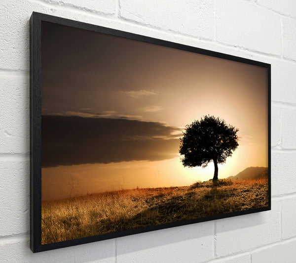 Sunset Behind The Tree