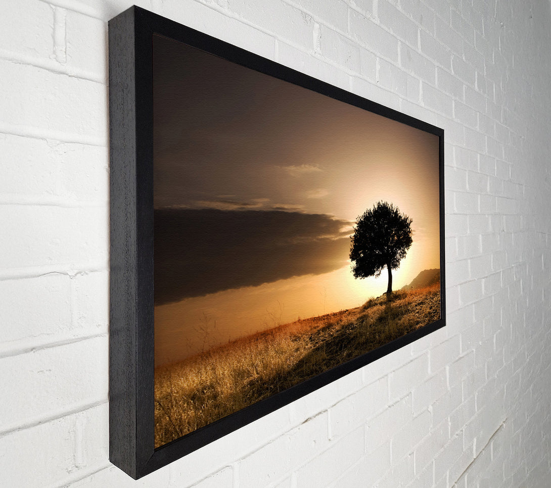  A Canvas Print of Sunset Behind The Tree Canvas Wall Art