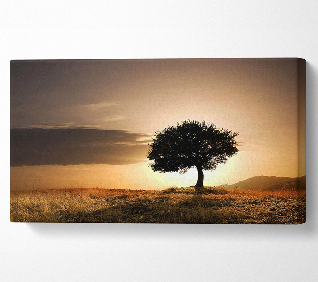  A Canvas Print of Sunset Behind The Tree Canvas Wall Art