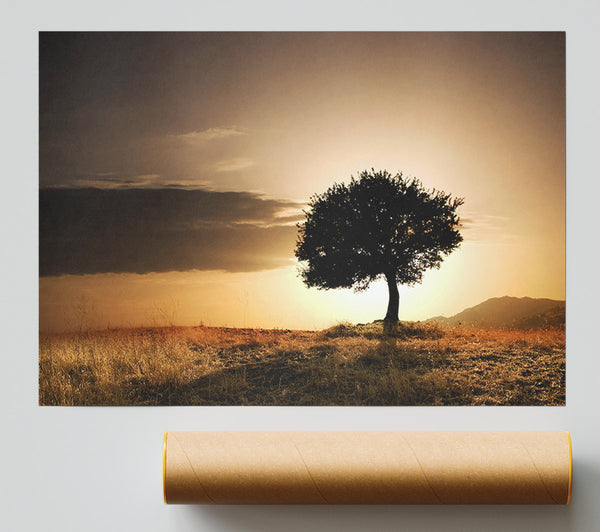 Sunset Behind The Tree Giclee Print