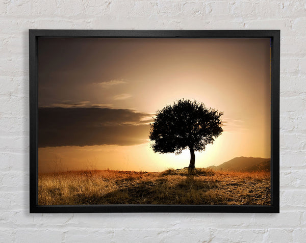 Sunset Behind The Tree Framed Print