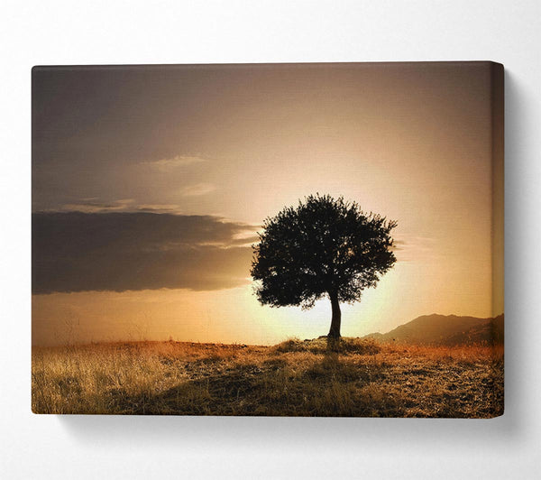  A Canvas Print of Sunset Behind The Tree Canvas Wall Art
