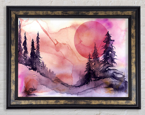 Pink Winter Sun Framed Print