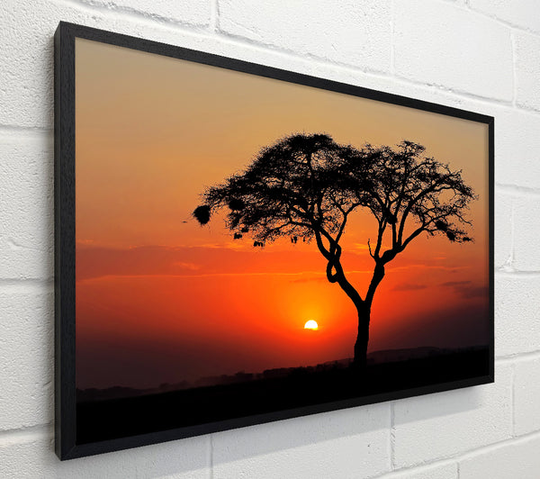 African Sunset