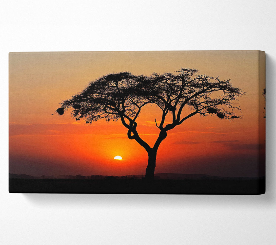  A Canvas Print of African Sunset Canvas Print