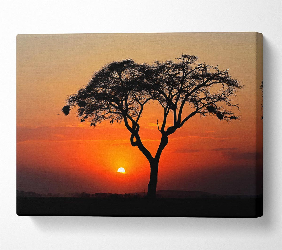  A Canvas Print of African Sunset Canvas Print