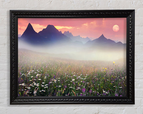 Flower Mountain Mist Framed Print